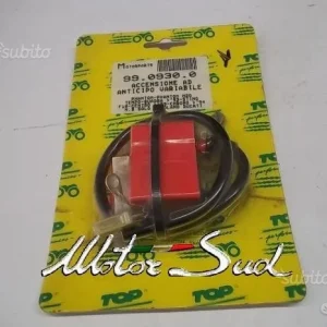 99.0930.0 - CENTRALINA Accensione Anticipo Variab