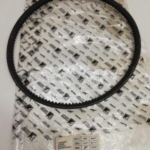 113256 - CINGHIA DINAMOTORE APE