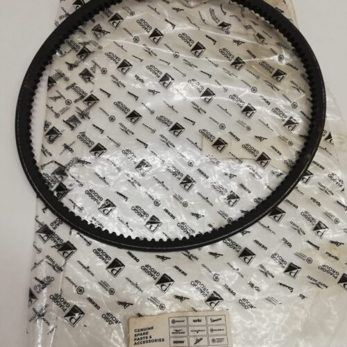 113256 - CINGHIA DINAMOTORE APE